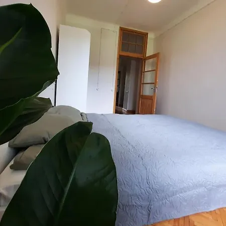 Teika Apartment